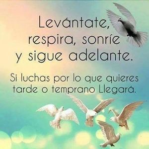 Meet your Posher, Victor manuel